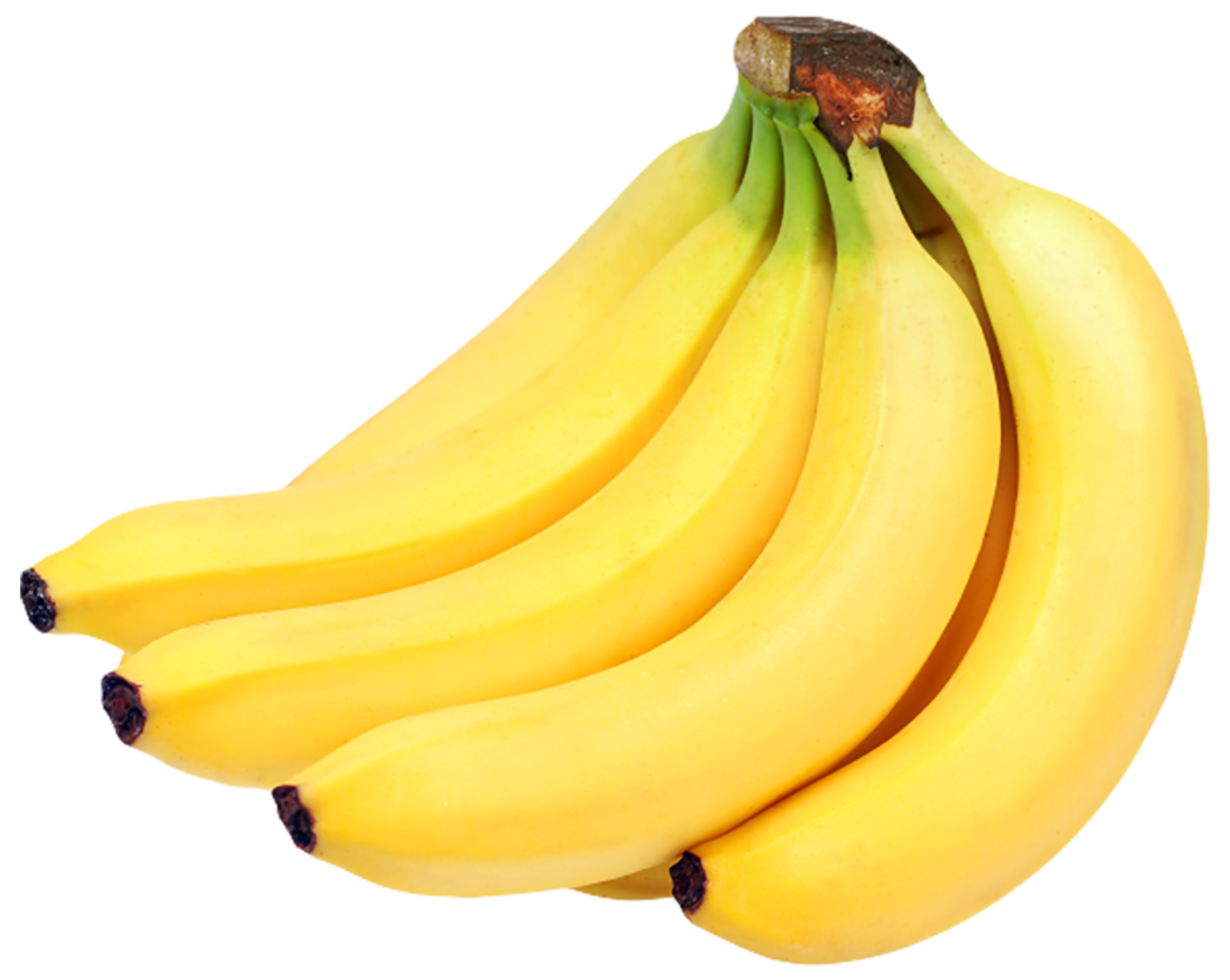Cavendish Bananas