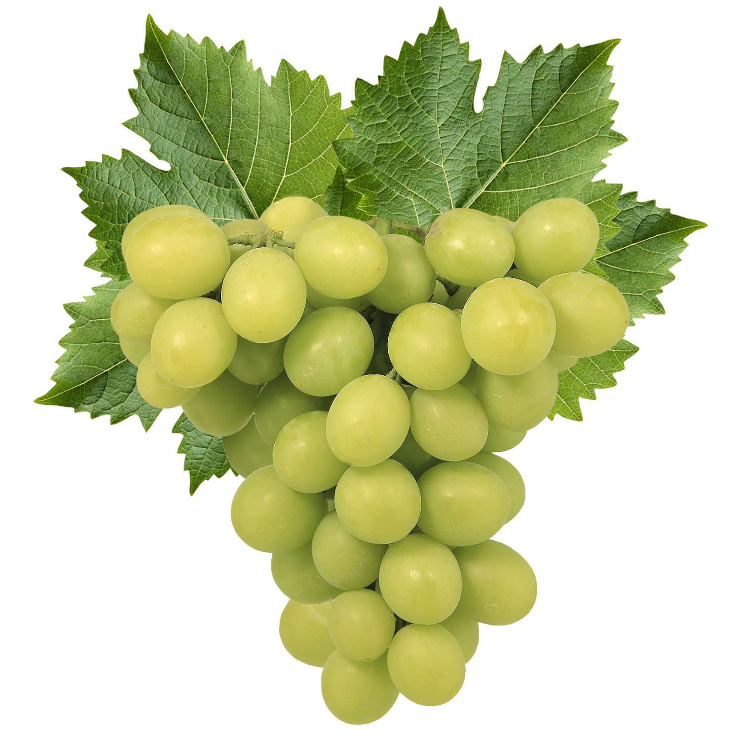 Grapes