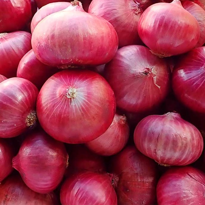 Red Onion