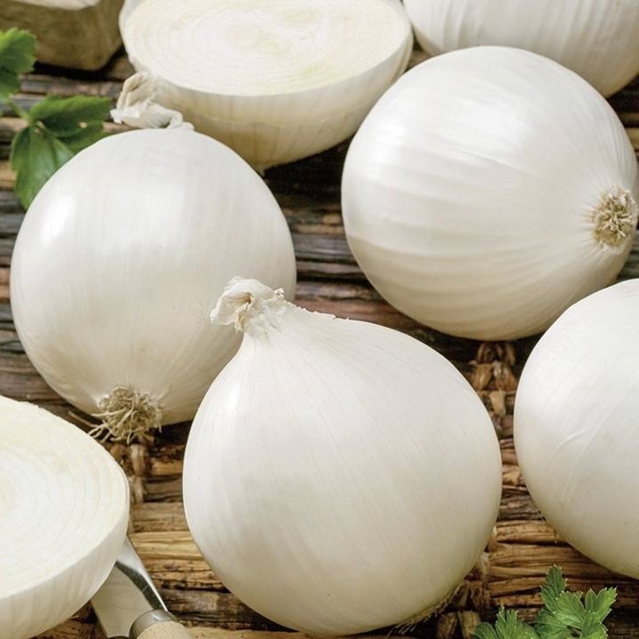 White Onion